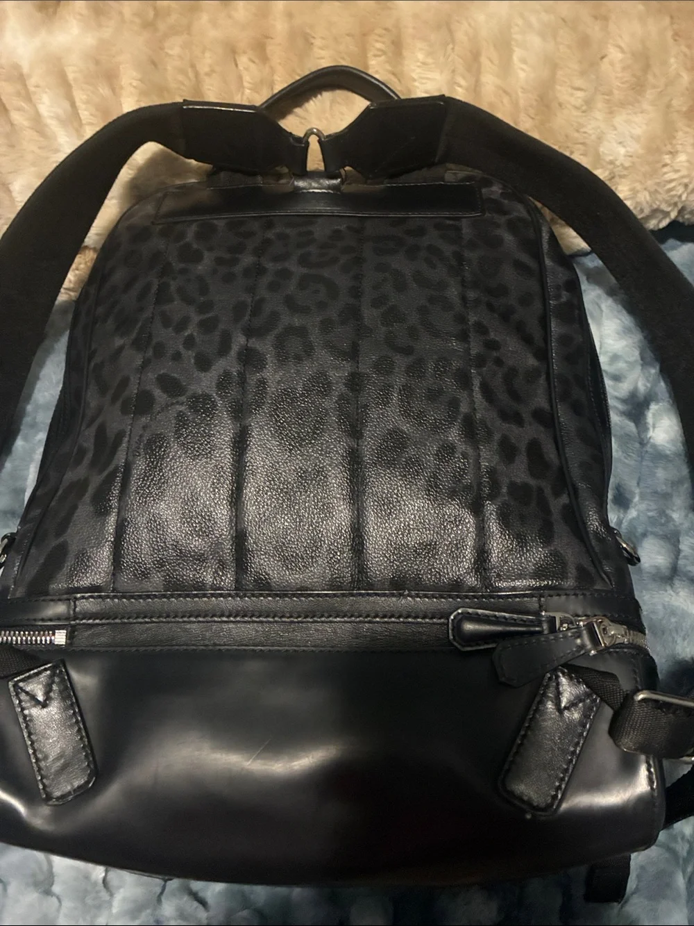 Dolce & Gabbana dolce gabbana